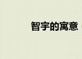 智宇的寓意（智宇有什么寓意）