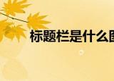 标题栏是什么图片（标题栏是什么）