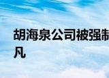 胡海泉公司被强制执行2115万睡觉抖的很频凡