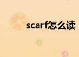 scarf怎么读（scarf解释及例句）