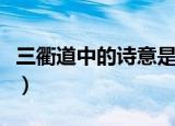 三衢道中的诗意是什么（三衢道中的诗意讲解）