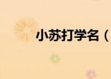 小苏打学名（小苏打学名叫什么）