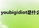 youbigidiot是什么意思（idiot是什么意思）