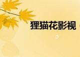 狸猫花影视（花狸猫娱乐社区）