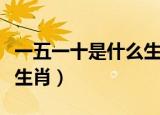 一五一十是什么生肖打一肖（一五一十是什么生肖）