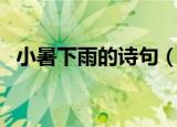 小暑下雨的诗句（小暑下雨的诗句有哪些）