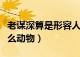 老谋深算是形容人聪明的吗（老谋深算形容什么动物）