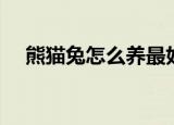 熊猫兔怎么养最好（怎么养熊猫兔最好）