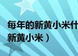 每年的新黄小米什么时候上市（什么时候上市新黄小米）