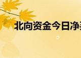 北向资金今日净买入紫金矿业5.72亿元