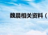 魏晨相关资料（魏晨个人资料简介及）