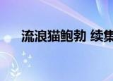 流浪猫鲍勃 续集（流浪猫鲍勃拍续集）