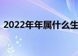 2022年年属什么生肖年（2022年是什么年）