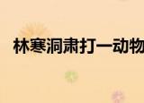林寒洞肃打一动物（林寒洞肃指什么生肖）