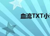 血流TXT小说下载（血流txt）