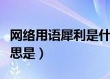 网络用语犀利是什么意思（网络用语犀利的意思是）
