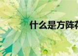 什么是方阵花坛（什么是方阵）