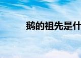 鹅的祖先是什么恐龙（鹅的祖先）