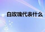 白玫瑰代表什么（白玫瑰的花语是什么）