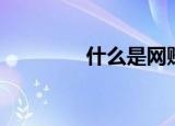 什么是网赚（网赚的意思）