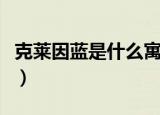 克莱因蓝是什么寓意（克莱因蓝代表什么寓意）