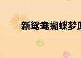 新鸳鸯蝴蝶梦原唱（一起来听一下）