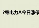 ?粤电力A今日涨停 两机构净买入5624万元