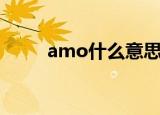 amo什么意思（teamo什么意思）