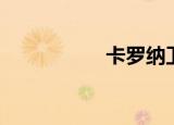 卡罗纳卫浴（卡罗纳）