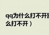 qq为什么打不开别人发的聊天记录（qq为什么打不开）