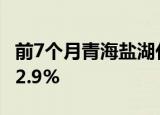 前7个月青海盐湖化工产品出口额同比增长182.9%