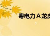 粤电力Ａ龙虎榜数据（9月8日）