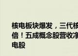 核电板块爆发，三代核电批量化建设加快，发电量占比将翻倍！五成概念股营收净利双增长，社保QFII新建仓了这些核电股