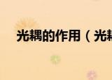 光耦的作用（光耦在电路中起什么作用）
