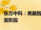 东方中科：类脑智能目标感知平台尚处系统研发阶段