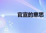 官宣的意思（官宣是什么意思）