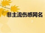 非主流伤感网名（非主流伤感网名大全）