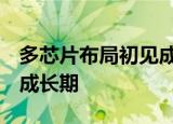多芯片布局初见成效  澜起科技：迈入新一轮成长期