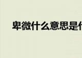 卑微什么意思是什么（卑微是什么意思）