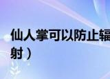 仙人掌可以防止辐射吗（仙人掌能不能防止辐射）