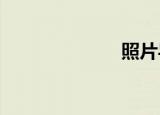 照片导演辞职了
