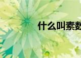 什么叫素数?（什么叫素数）