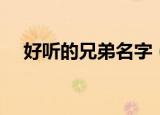 好听的兄弟名字（好听的兄弟名字大全）