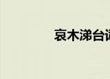 哀木涕台词（哀木涕之歌）