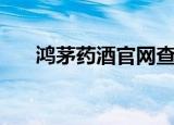 鸿茅药酒官网查真伪（鸿茅药酒官网）