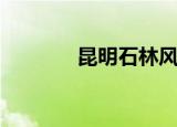 昆明石林风景区（昆明石林）