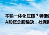 不输一体化压铸？特斯拉使用这一新材料，明年有望放量！A股概念股稀缺，社保巨资建仓的龙头曝光