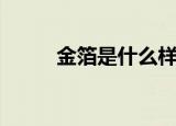 金箔是什么样子的（金箔是什么）