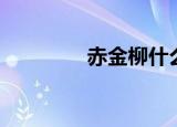 赤金柳什么样子（赤金柳）