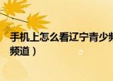 手机上怎么看辽宁青少频道的回放（手机上怎么看辽宁青少频道）